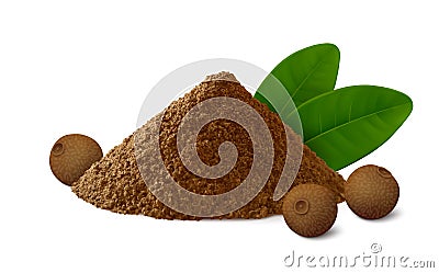 Pile of ground allspice Jamaica pepper with several peppercorns isolated on white background Vector Illustration